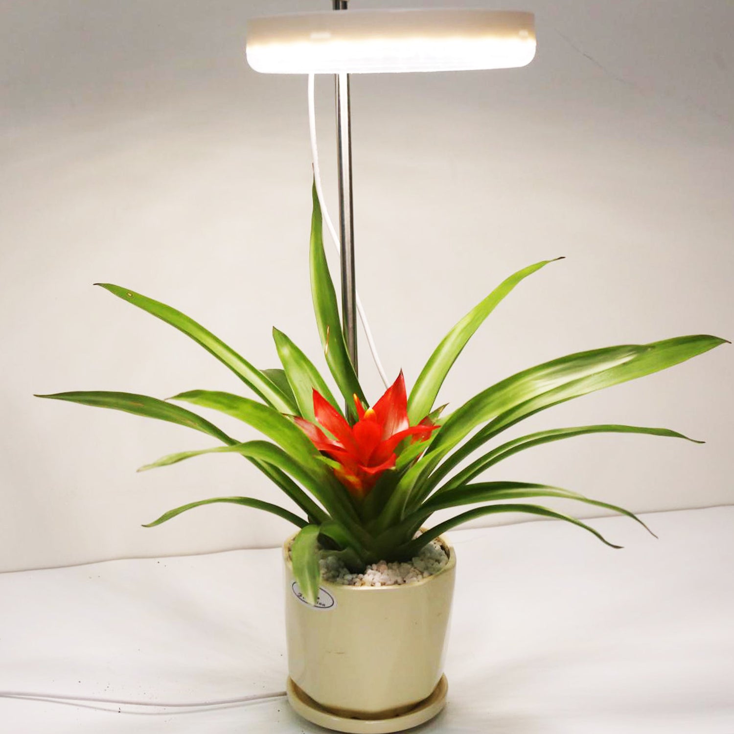 Home Office Desk Flower And Plant Growth Lamp