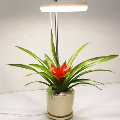 Home Office Desk Flower And Plant Growth Lamp