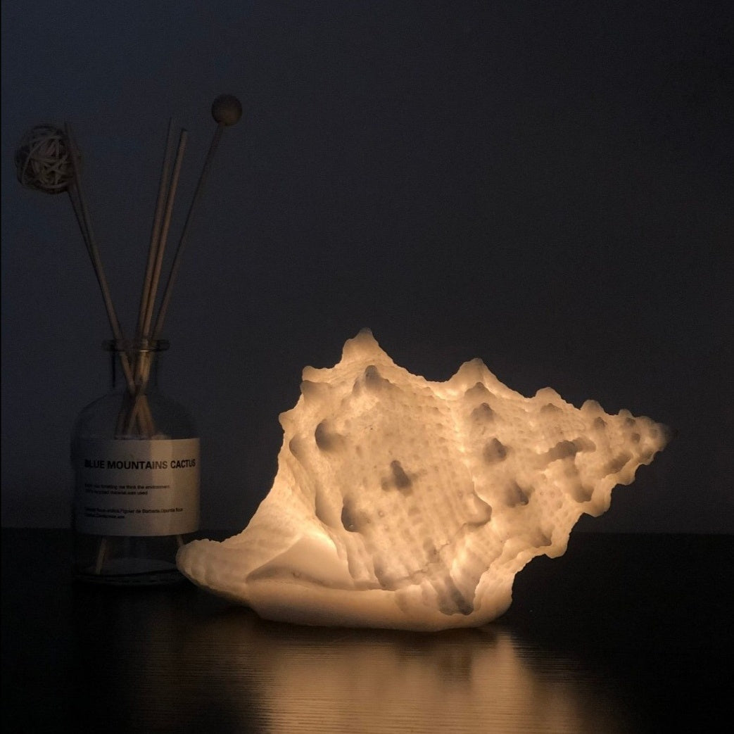 Home Scandinavian Ins Style Cute Conch Sleep Night Light